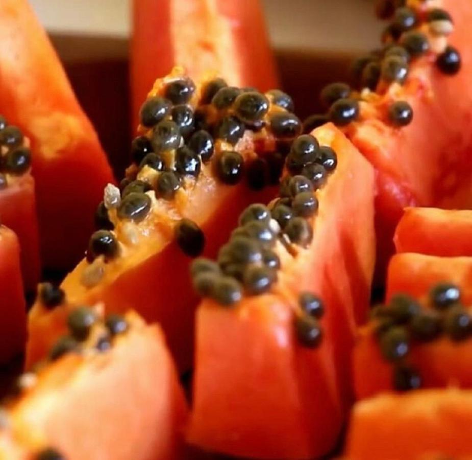 Pousada Maresia Do Sargi Uruçuca Eksteriør bilde